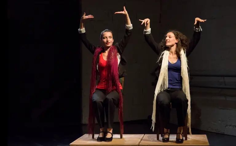 ConcertopourZapateado_CieLesHerbesFolles@SylvieVeyrunes