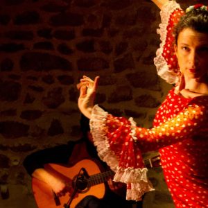Tablao flamenco - Cie Les Herbes folles 1